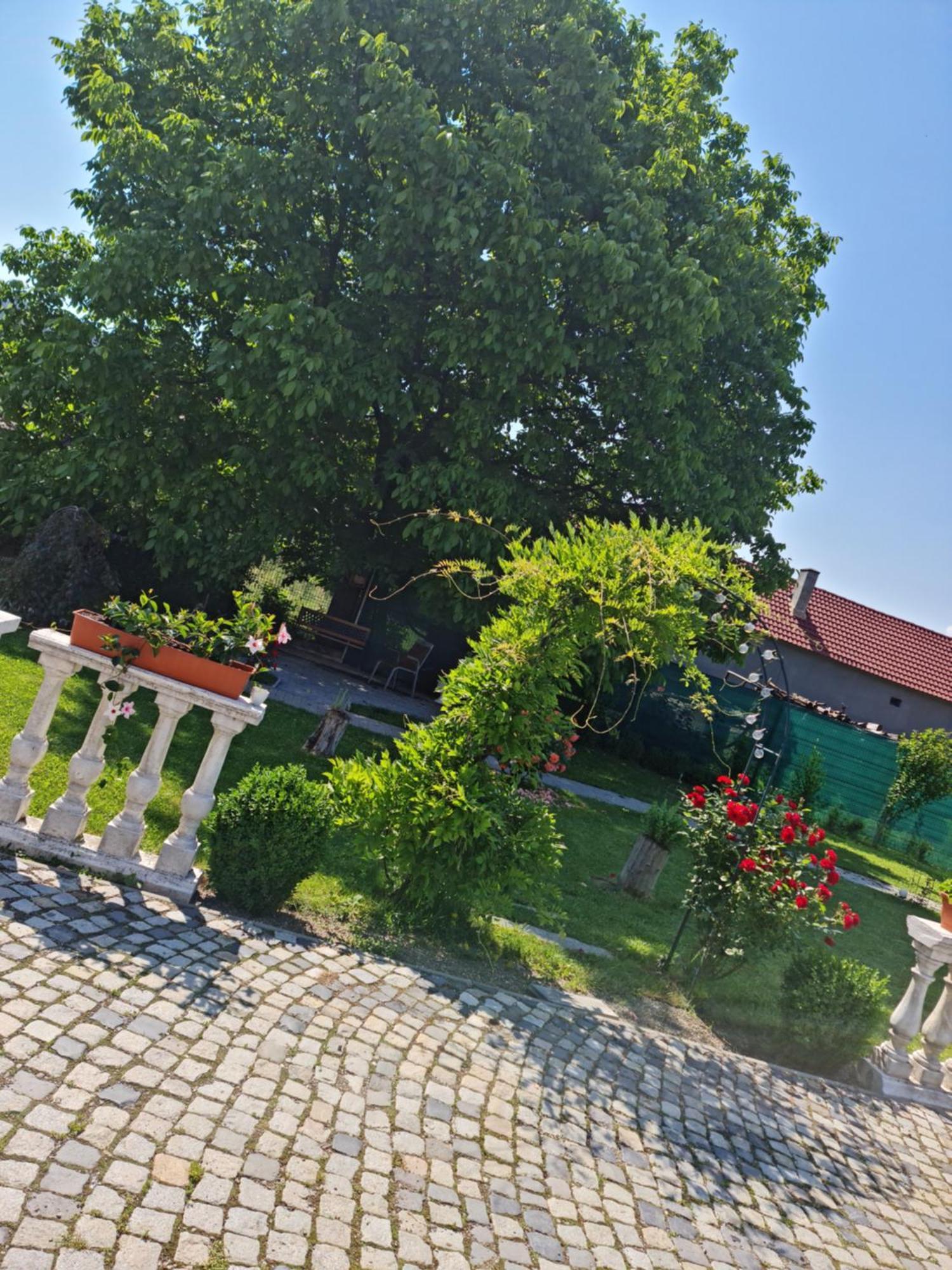 Pensiunea Baroc Dobirlau 외부 사진