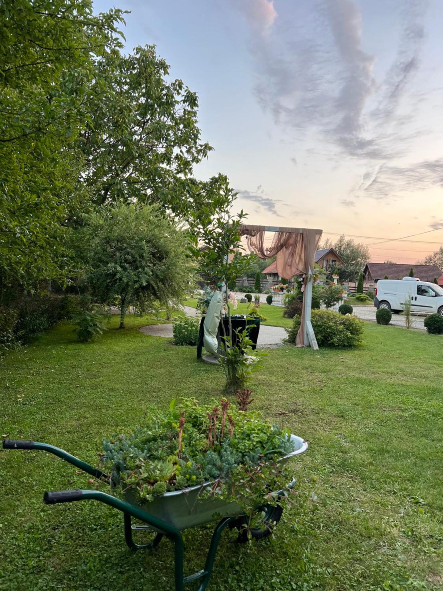 Pensiunea Baroc Dobirlau 외부 사진